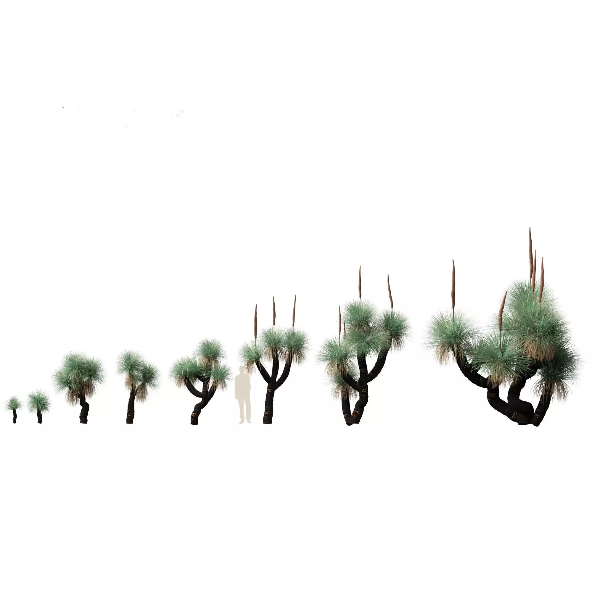 Tropical Architectural Foliage Pack - High-Poly 3D Model - View 28