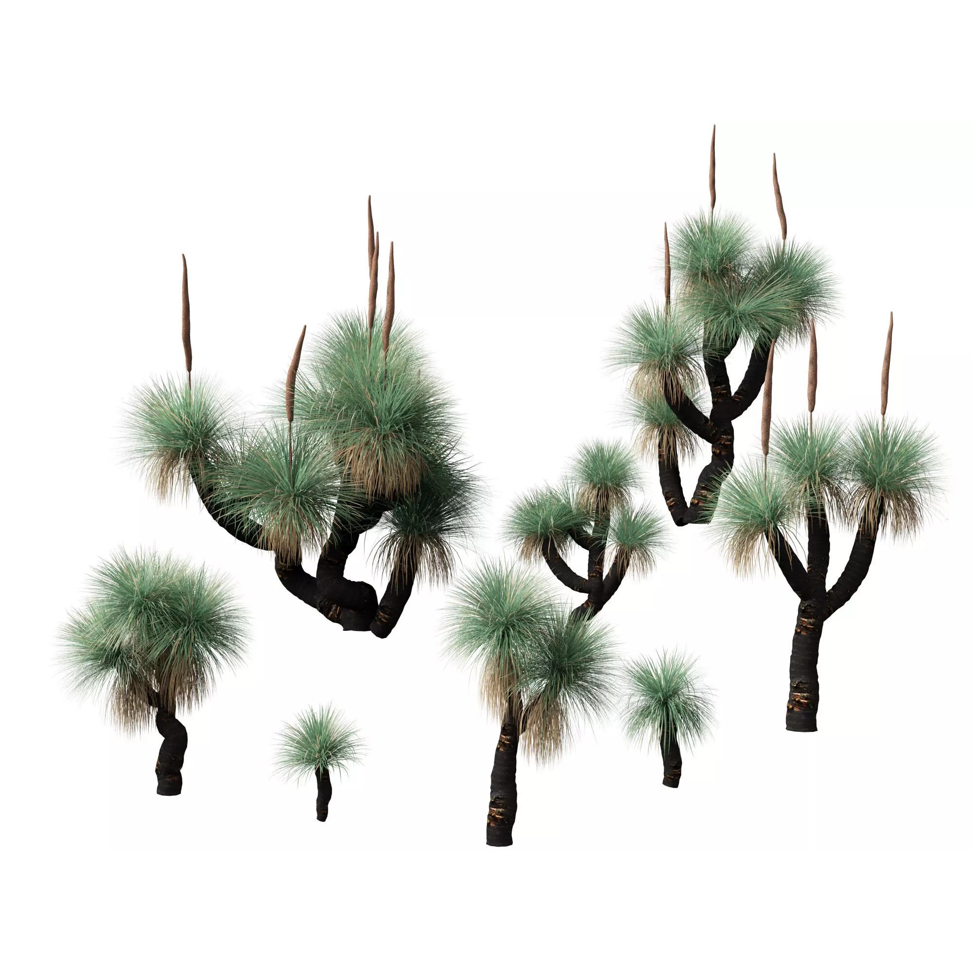 Tropical Architectural Foliage Pack - High-Poly 3D Model - View 29