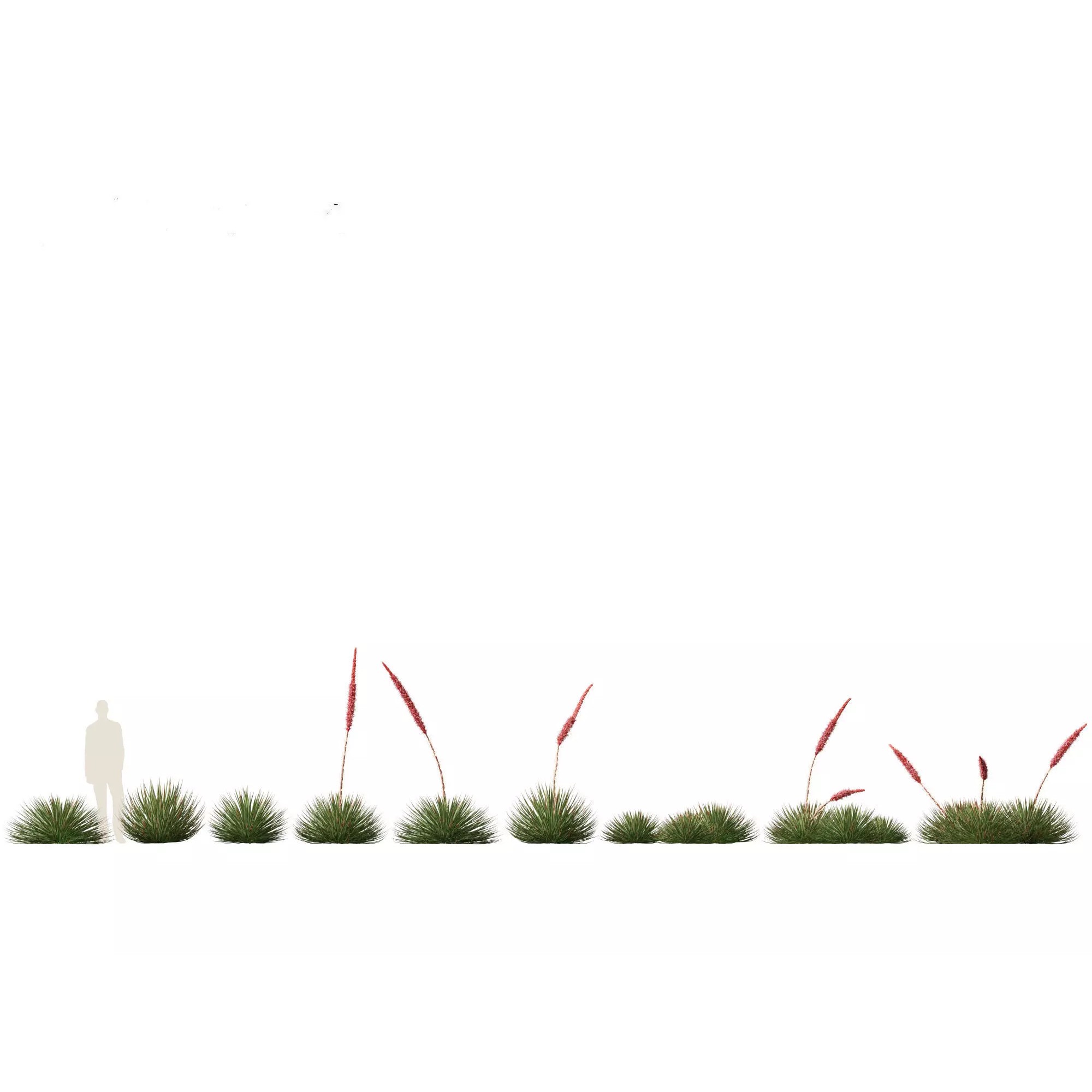 Tropical Architectural Foliage Pack - High-Poly 3D Model - View 3