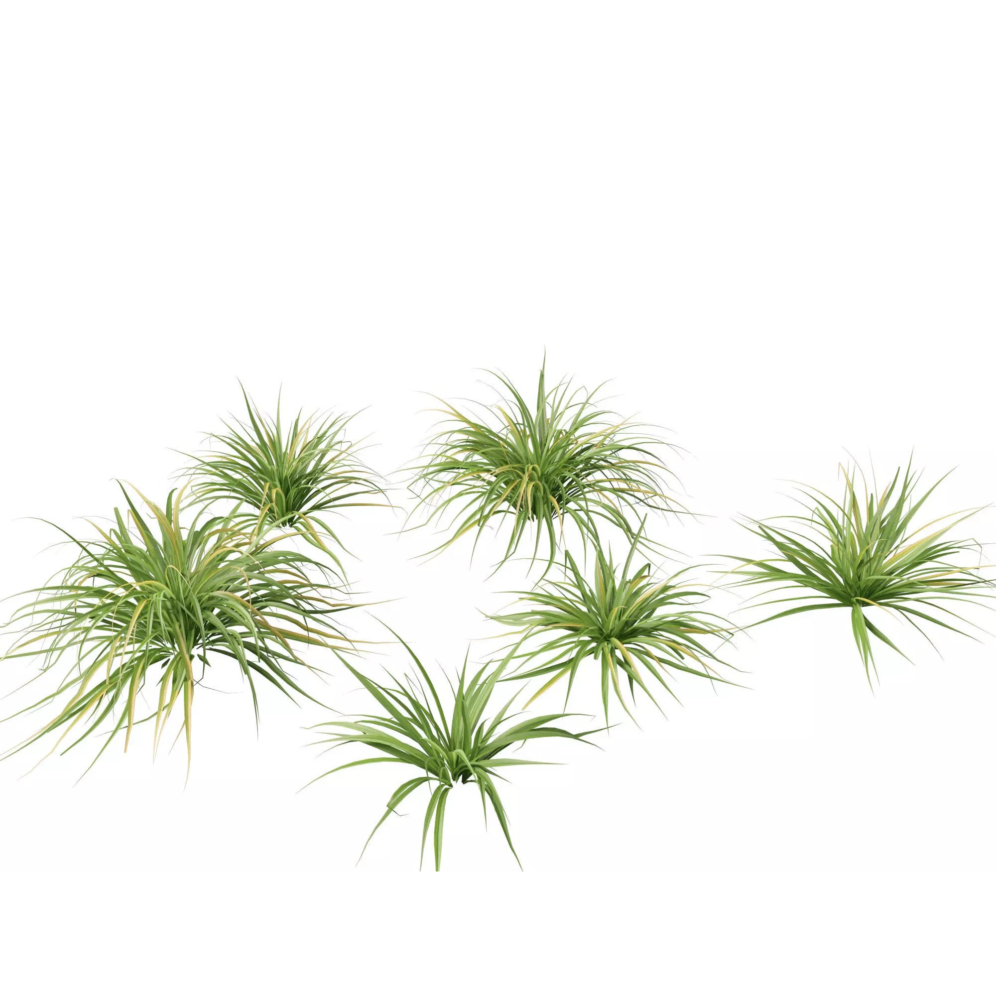 Tropical Architectural Foliage Pack - High-Poly 3D Model - View 7