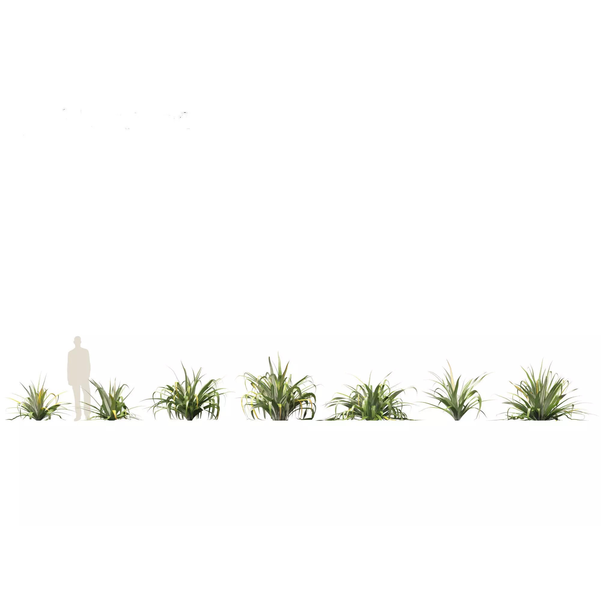 Tropical Architectural Foliage Pack - High-Poly 3D Model - View 8