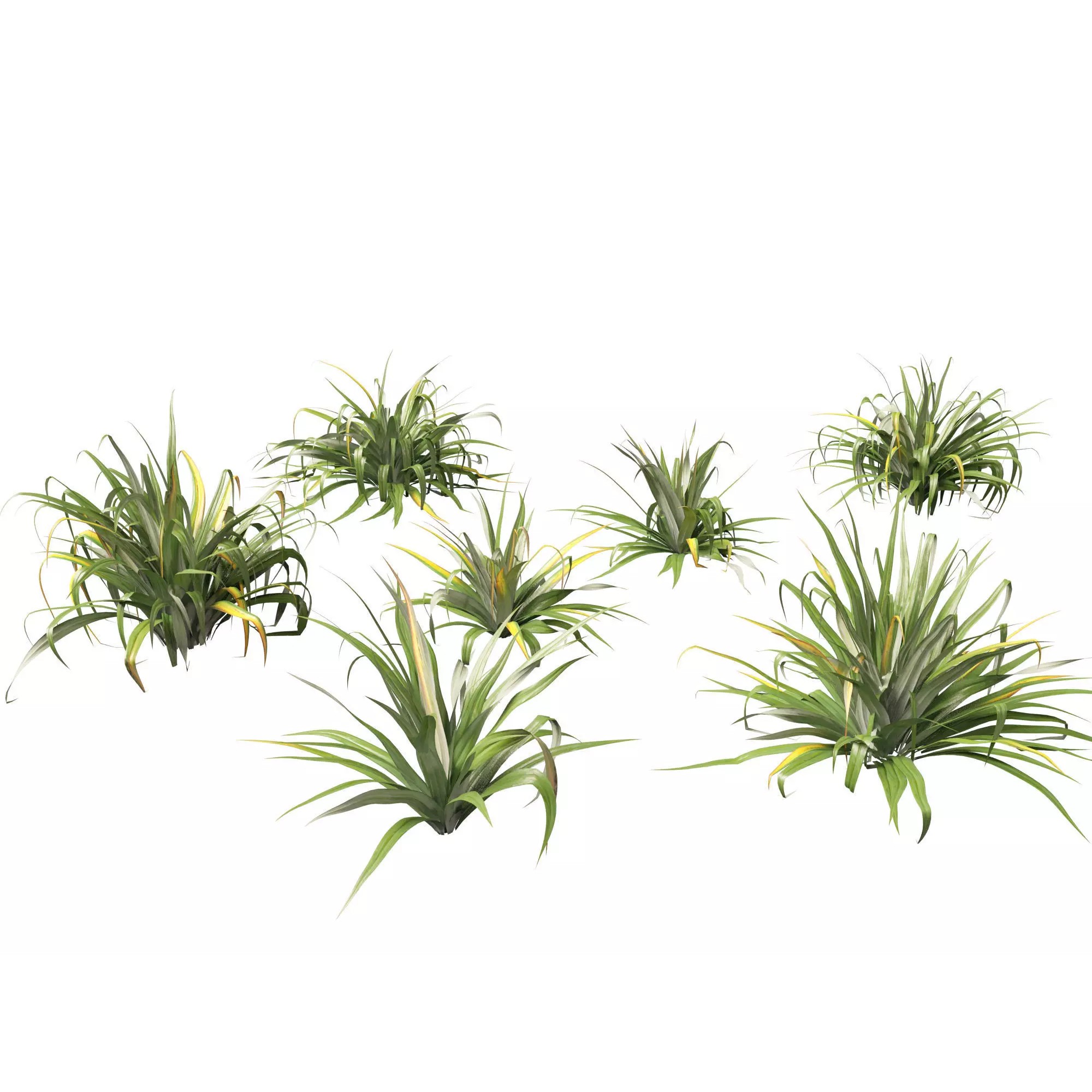 Tropical Architectural Foliage Pack - High-Poly 3D Model - View 9