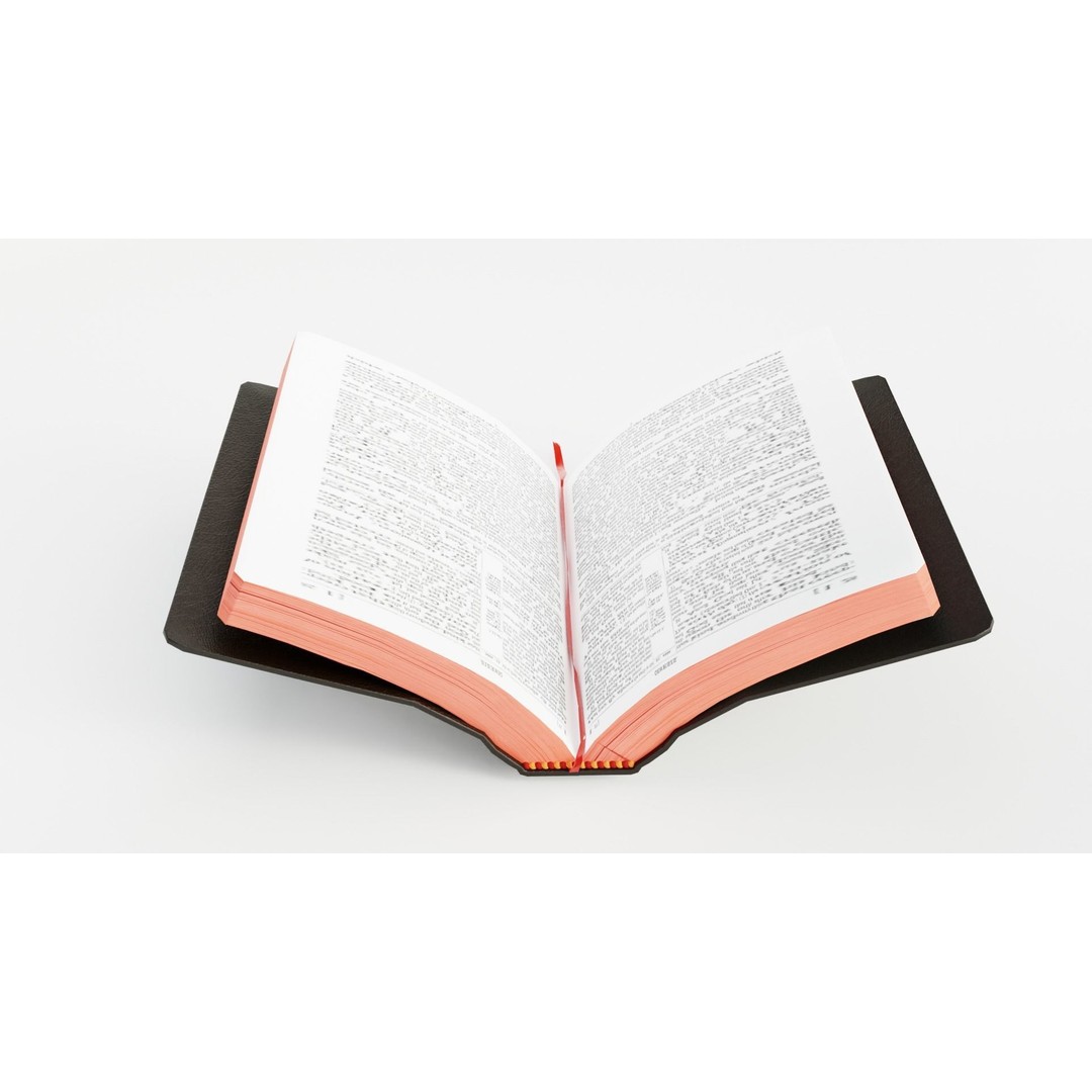 Rigged Bible 3D Model – Animated Religious Object, FBX, Blender - View 10