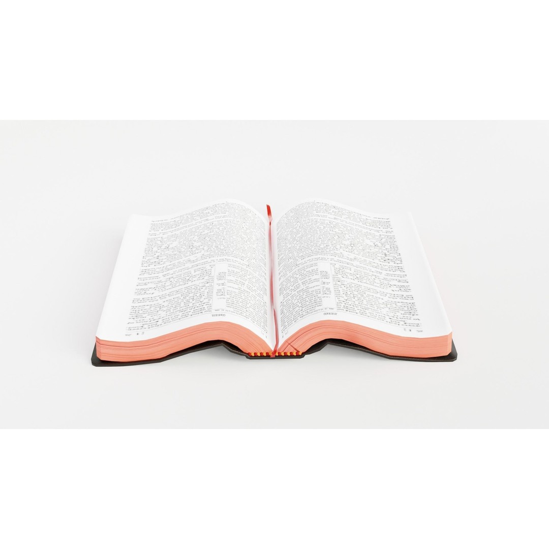 Rigged Bible 3D Model – Animated Religious Object, FBX, Blender - View 11