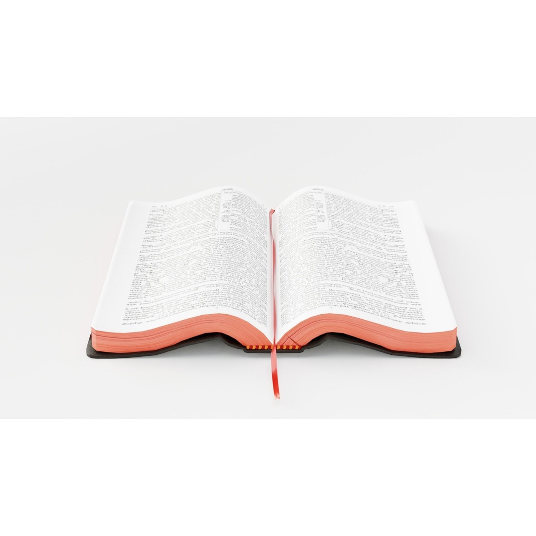 Rigged Bible 3D Model – Animated Religious Object, FBX, Blender - View 12