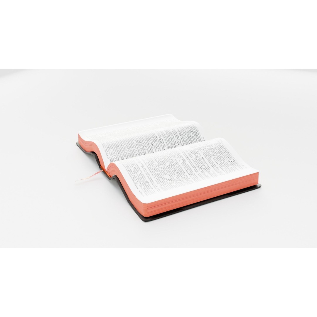 Rigged Bible 3D Model – Animated Religious Object, FBX, Blender - View 13