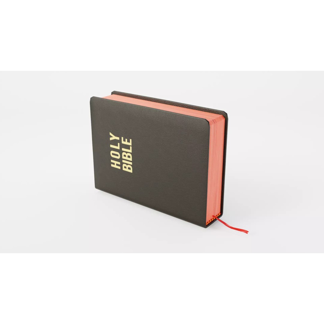 Rigged Bible 3D Model – Animated Religious Object, FBX, Blender - View 2