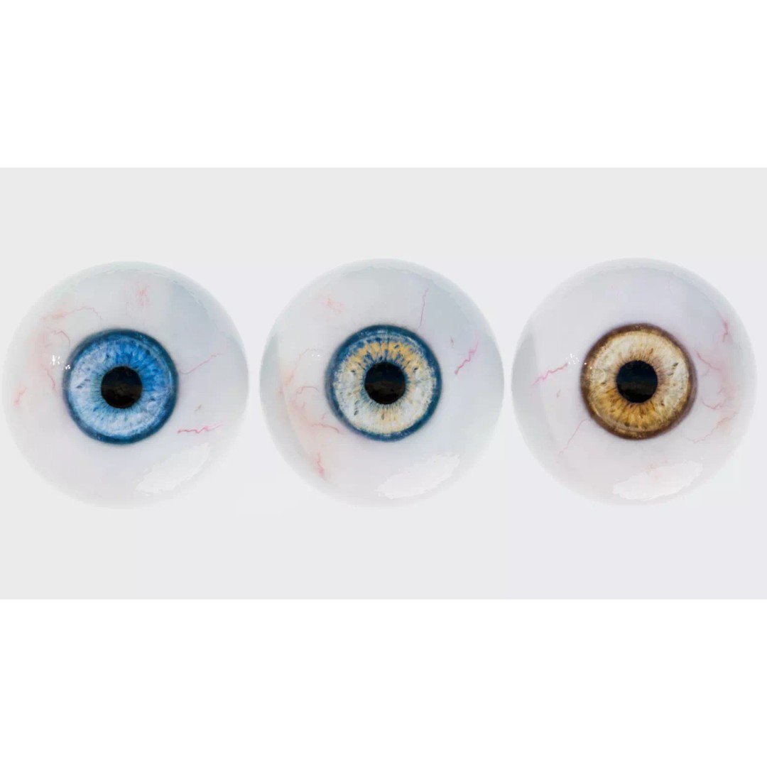 Human Eye 3D Model – Realistic Low-Poly Eyeball with Adjustable Pupil