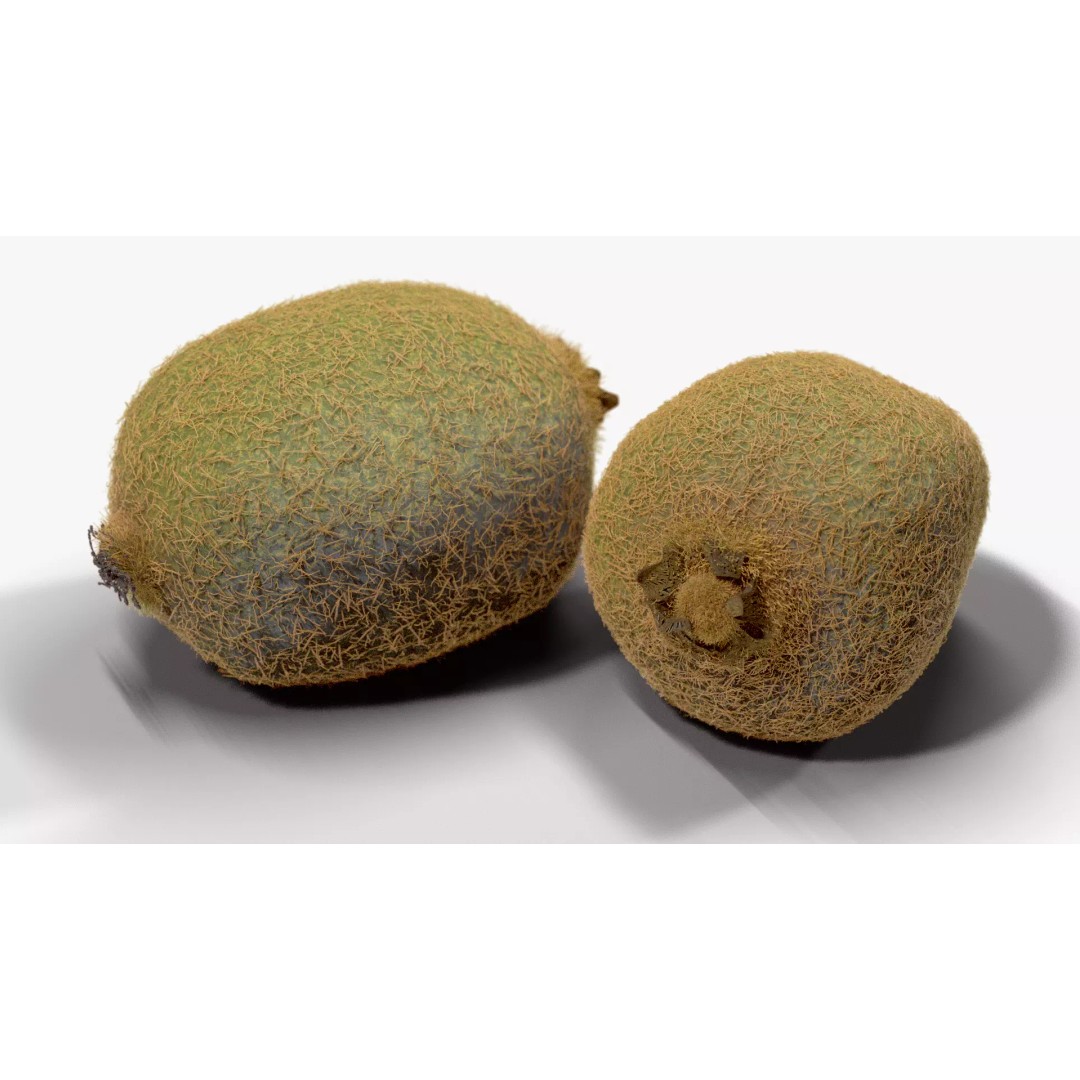 Realistic Kiwi 3D Model – Low Poly Food Asset, Blender, FBX - View 4
