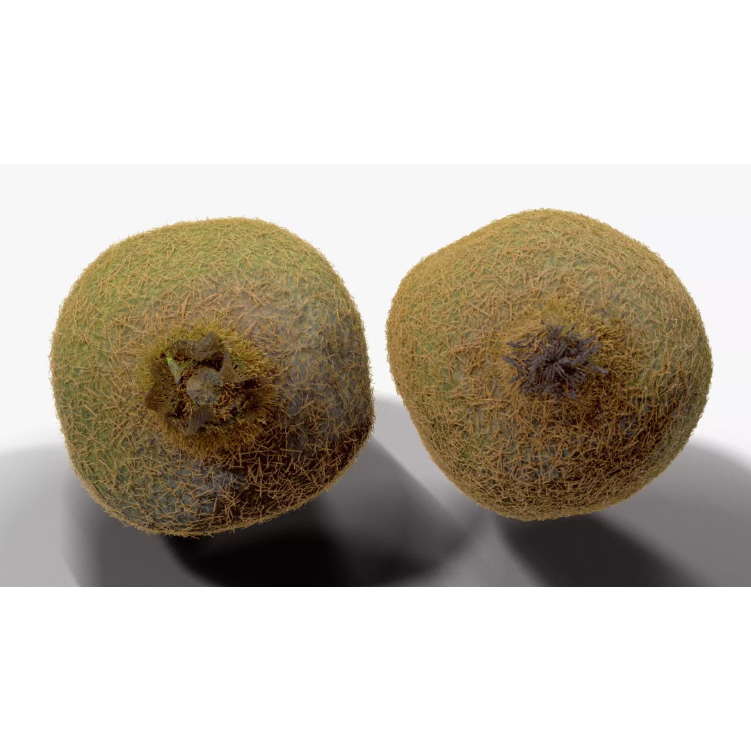 Realistic Kiwi 3D Model – Low Poly Food Asset, Blender, FBX - View 5