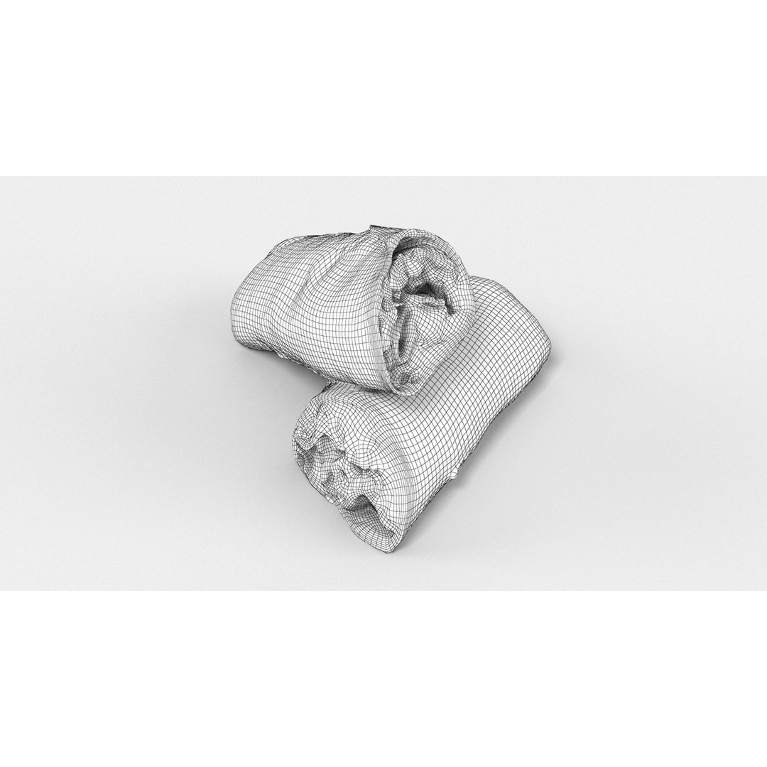 Sandwich Wrap 3D Model – High Res Photogrammetry Asset, FBX & OBJ - View 9