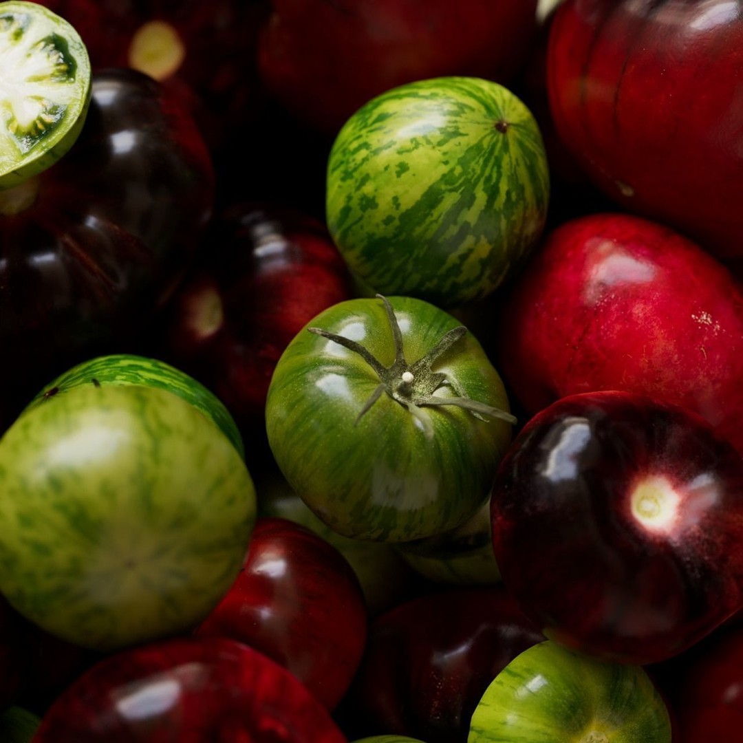 Tomatoes 3D Model – Realistic Vegetable Collection, FBX, PBR - View 4