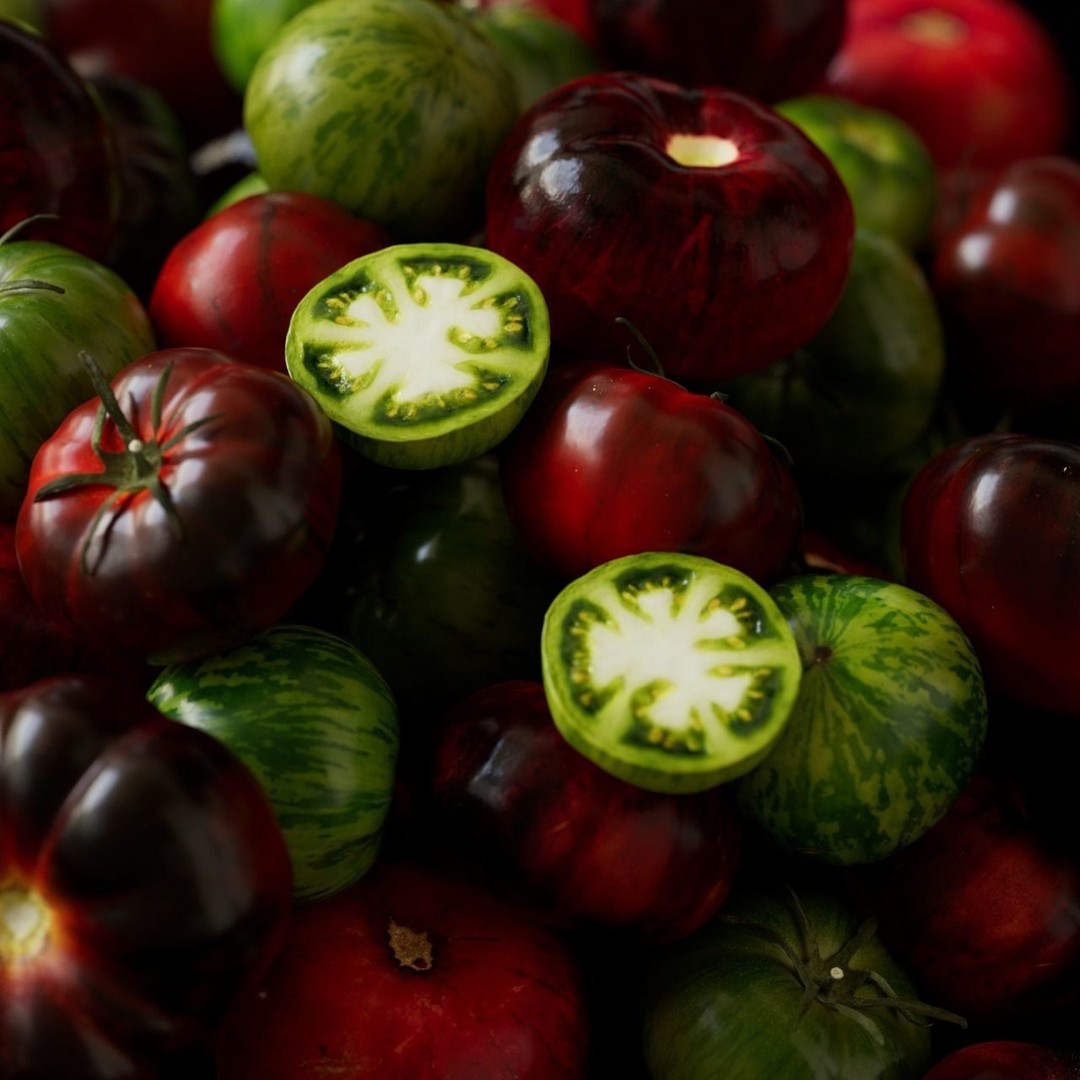 Tomatoes 3D Model – Realistic Vegetable Collection, FBX, PBR - View 5