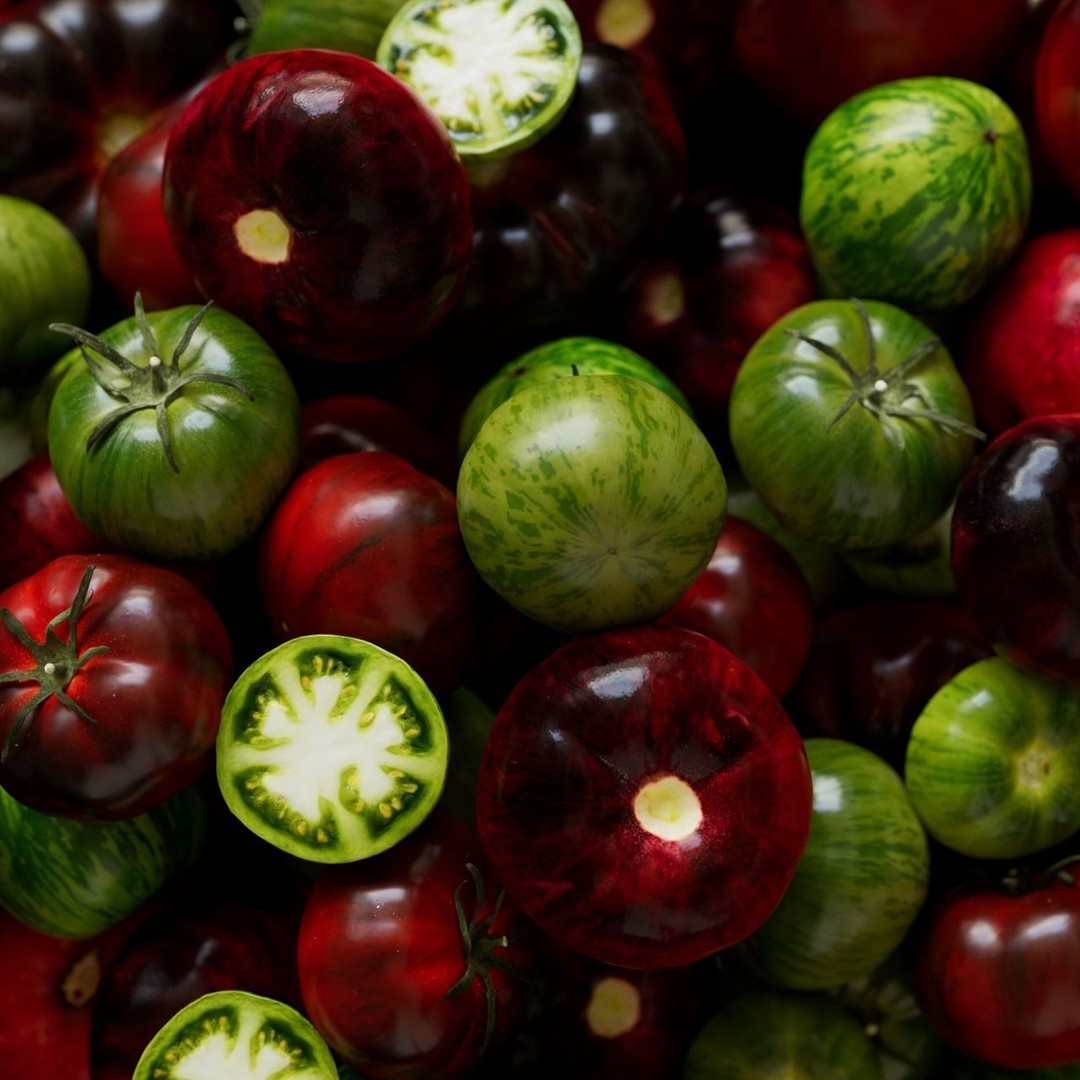 Tomatoes 3D Model – Realistic Vegetable Collection, FBX, PBR - View 6