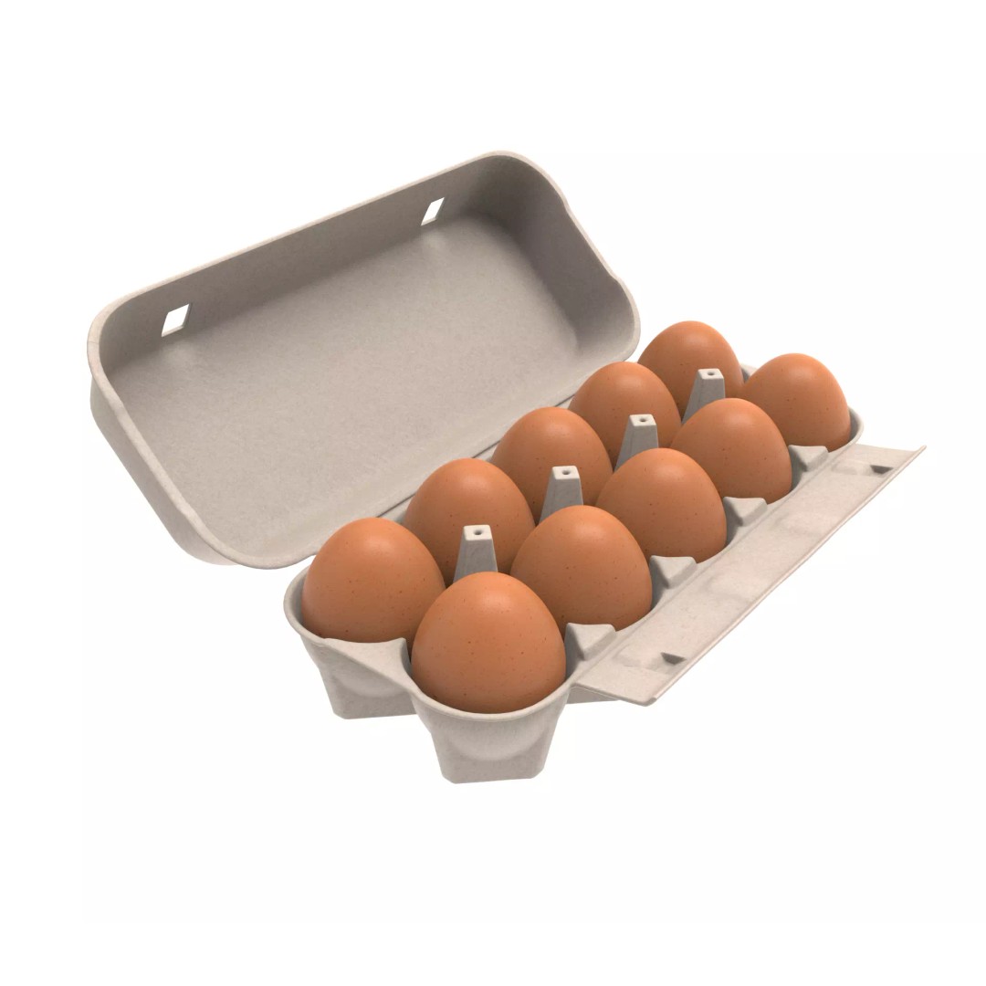 Egg Box 3D Model – PBR Textured Game Asset, FBX, OBJ - View 2