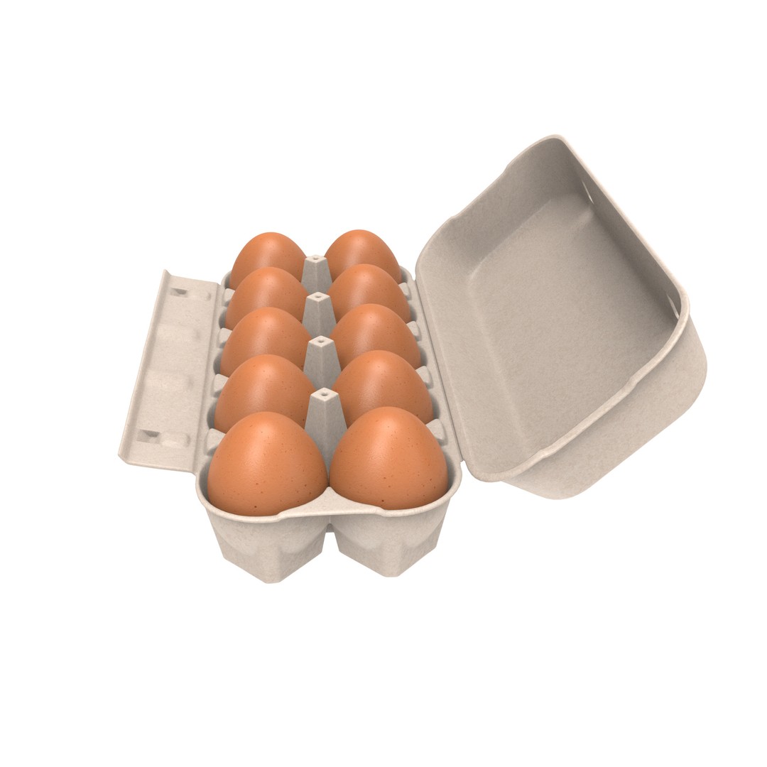 Egg Box 3D Model – PBR Textured Game Asset, FBX, OBJ - View 4