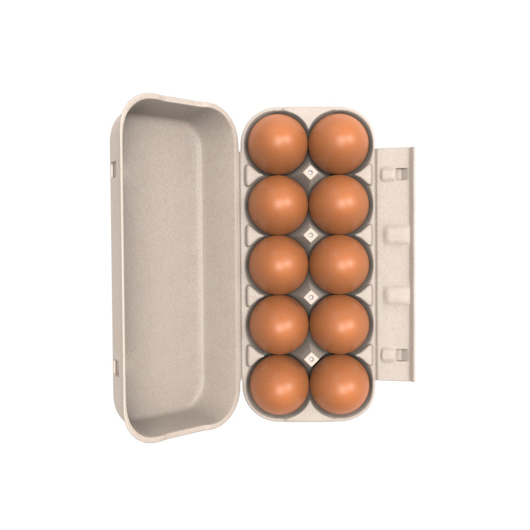 Egg Box 3D Model – PBR Textured Game Asset, FBX, OBJ - View 6