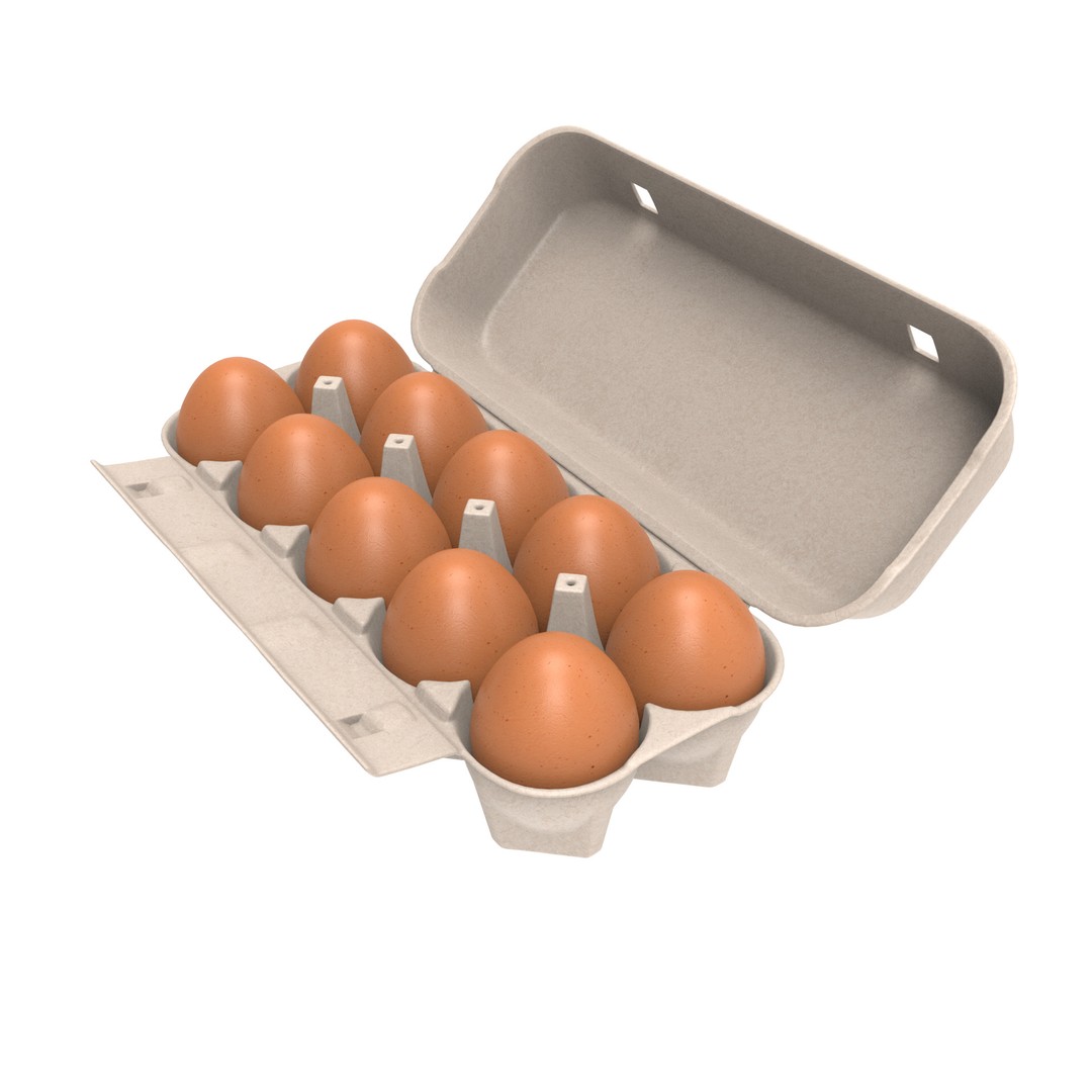 Egg Box 3D Model – PBR Textured Game Asset, FBX, OBJ - View 7