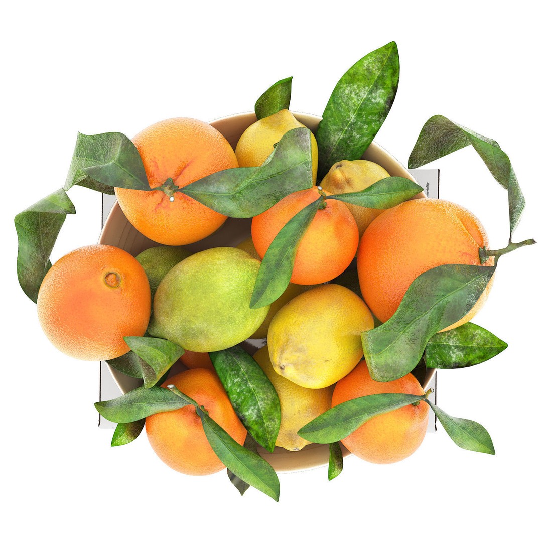 Citrus Fruit Bowl 3D Model – PBR Textured OBJ for Kitchen Decor - View 4