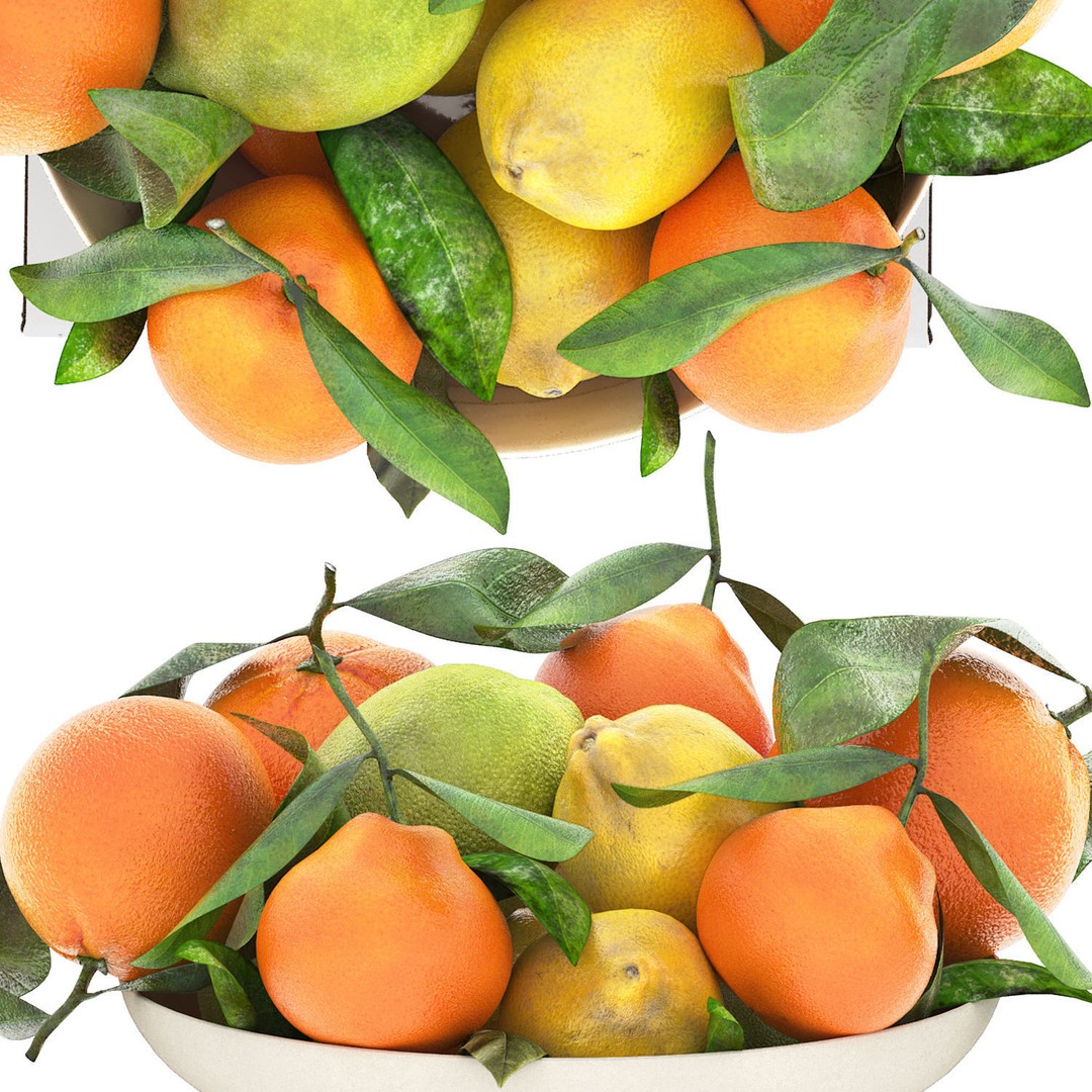 Citrus Fruit Bowl 3D Model – PBR Textured OBJ for Kitchen Decor - View 5