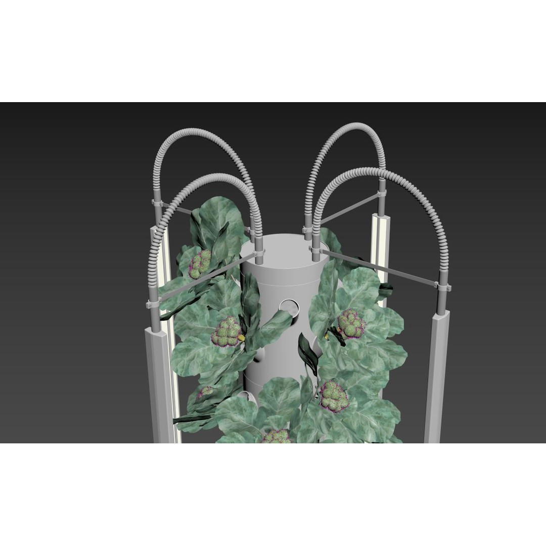 Hydroponics 3D Model – Detailed Plant System, FBX & Blender Formats - View 13