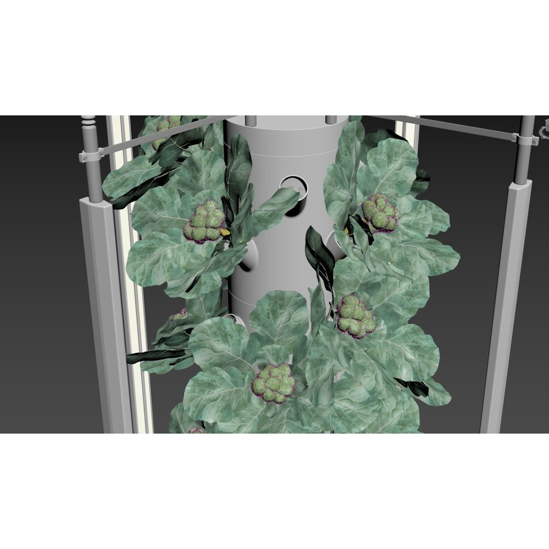 Hydroponics 3D Model – Detailed Plant System, FBX & Blender Formats - View 14