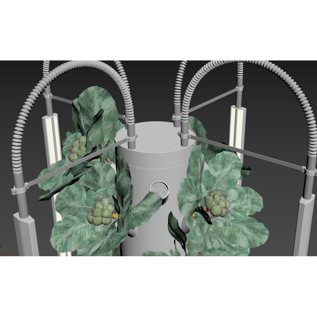 Hydroponics 3D Model – Detailed Plant System, FBX & Blender Formats - View 15