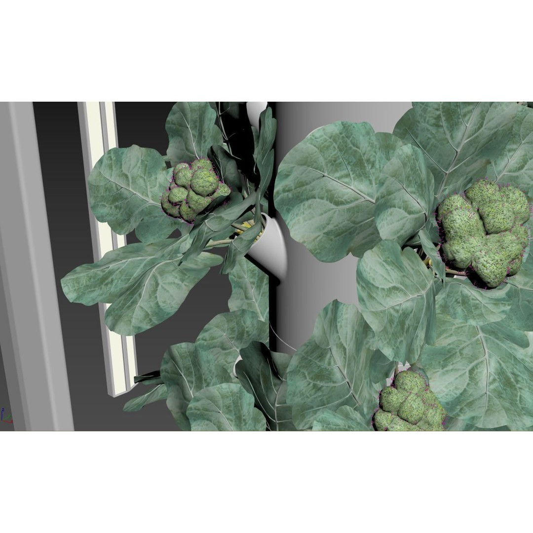 Hydroponics 3D Model – Detailed Plant System, FBX & Blender Formats - View 17