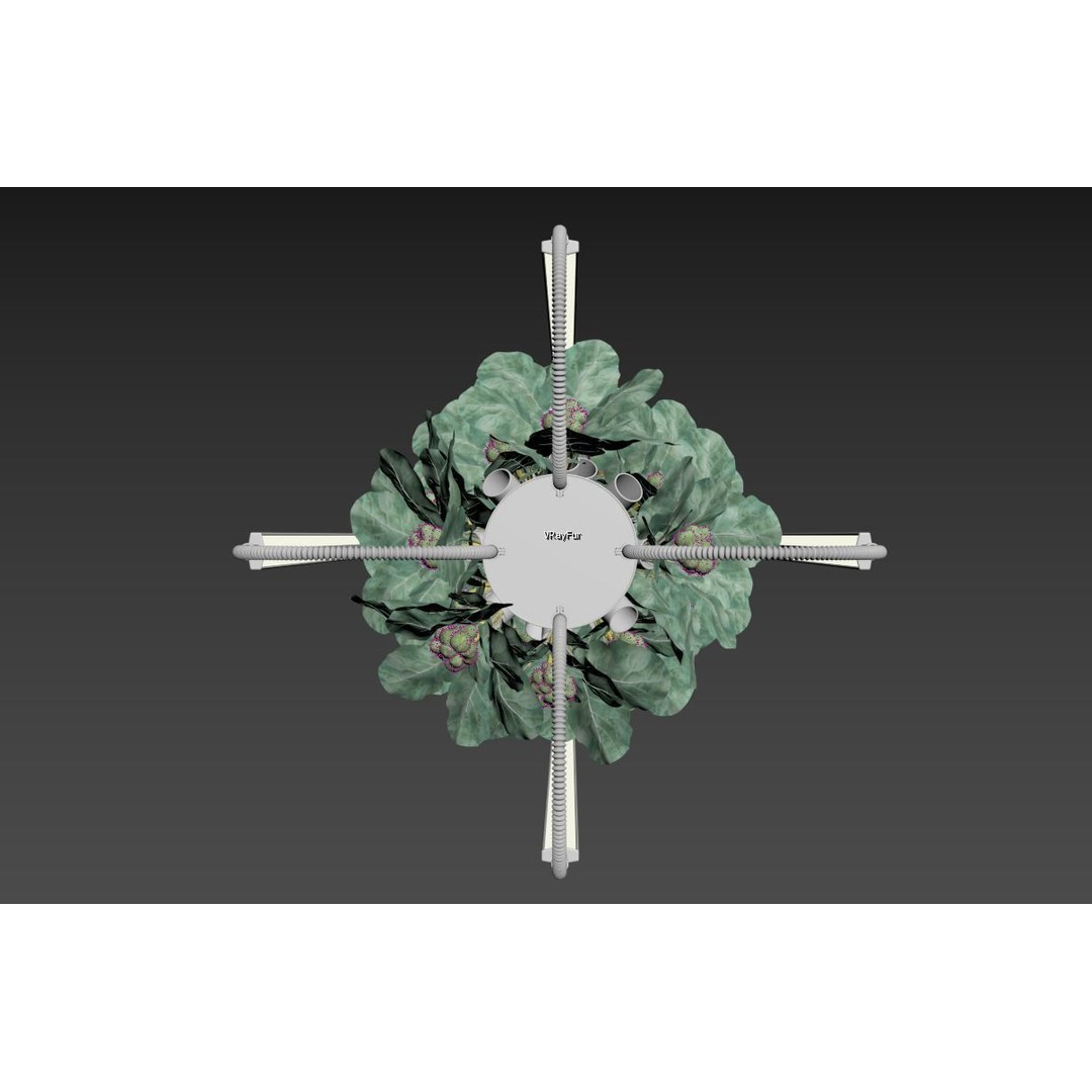 Hydroponics 3D Model – Detailed Plant System, FBX & Blender Formats - View 22