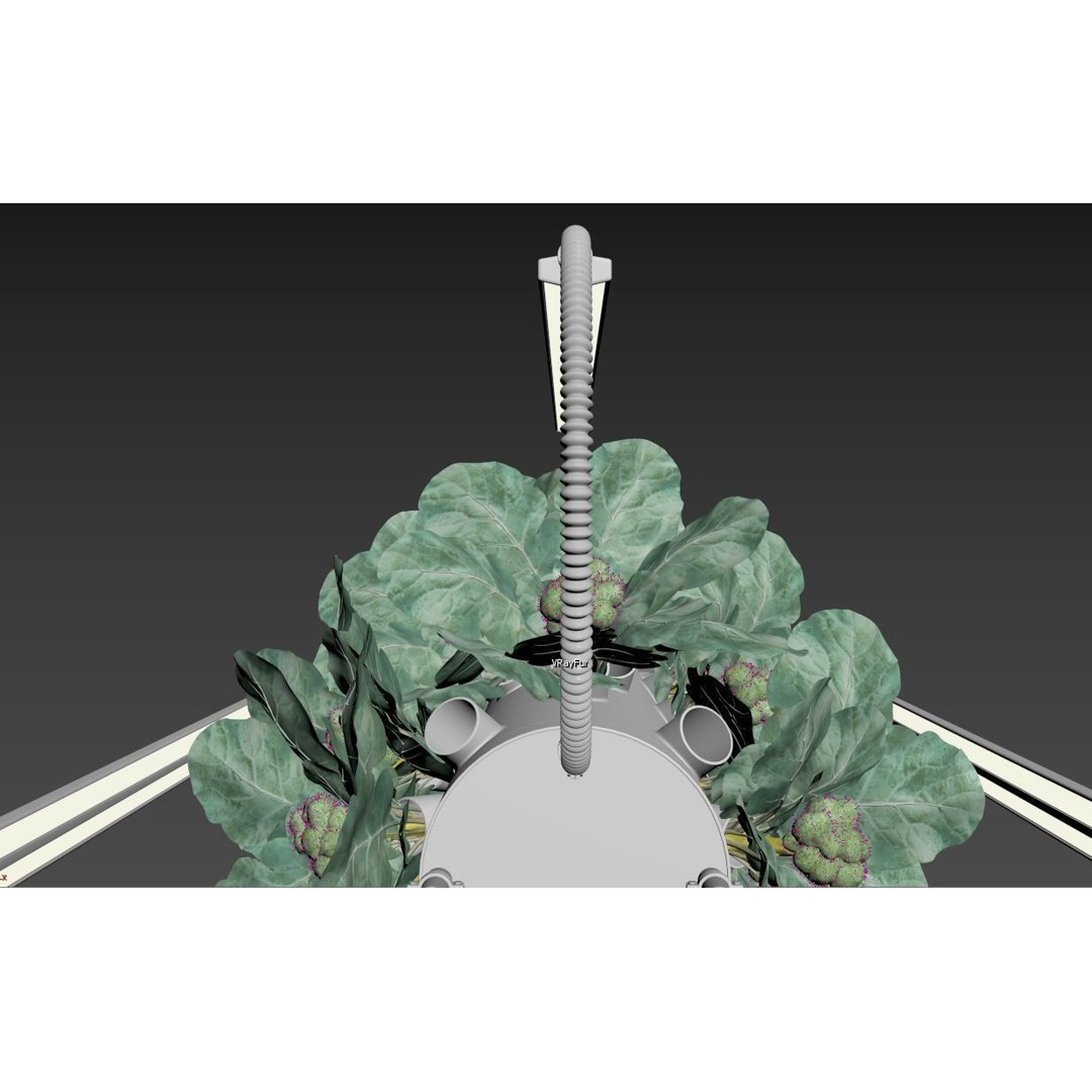 Hydroponics 3D Model – Detailed Plant System, FBX & Blender Formats - View 23