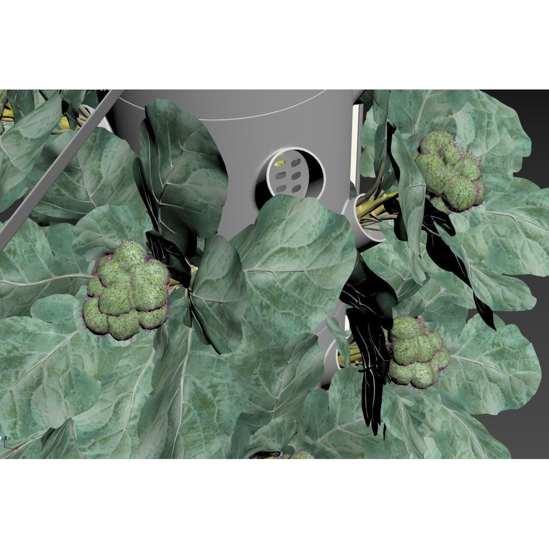 Hydroponics 3D Model – Detailed Plant System, FBX & Blender Formats - View 25