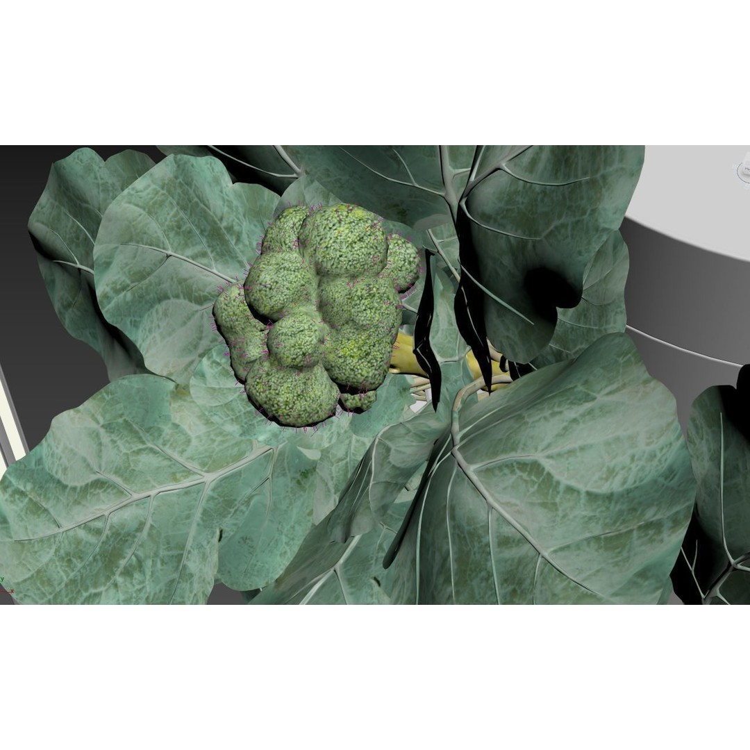 Hydroponics 3D Model – Detailed Plant System, FBX & Blender Formats - View 26