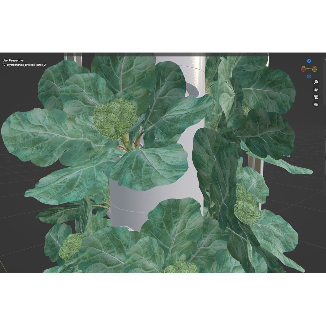 Hydroponics 3D Model – Detailed Plant System, FBX & Blender Formats - View 30