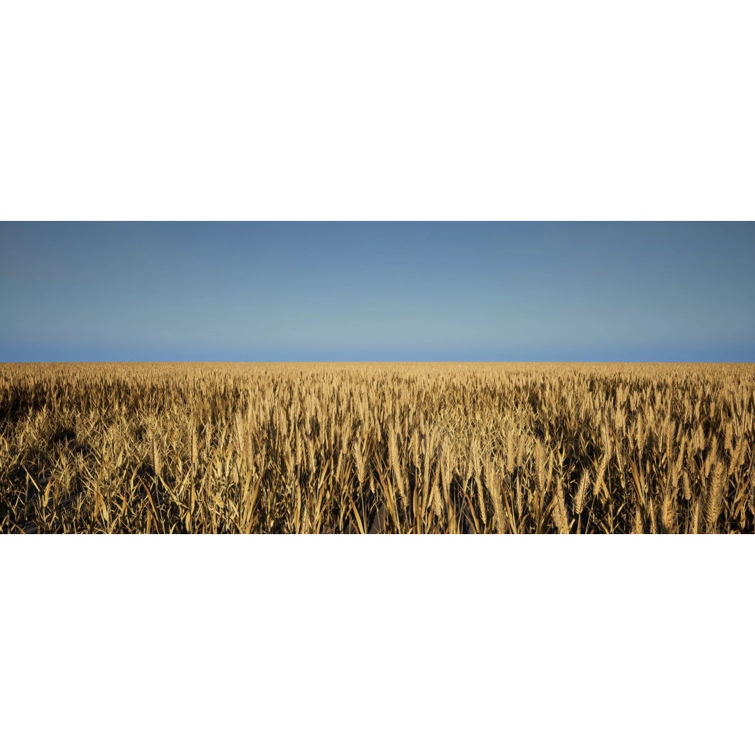 Realistic Wheat 3D Model – Low Poly PBR Asset for Unreal Engine - View 2