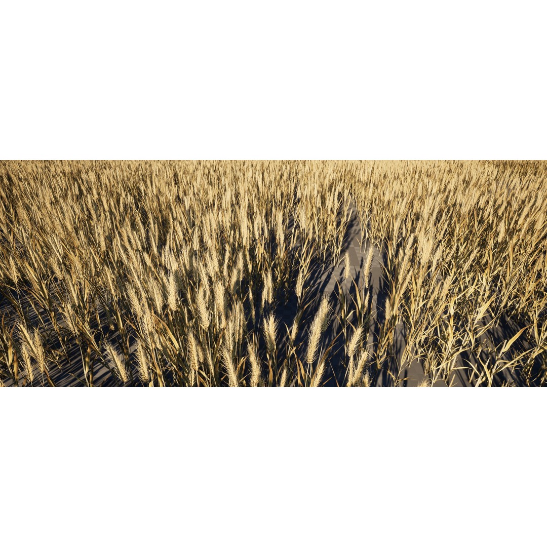 Realistic Wheat 3D Model – Low Poly PBR Asset for Unreal Engine - View 4