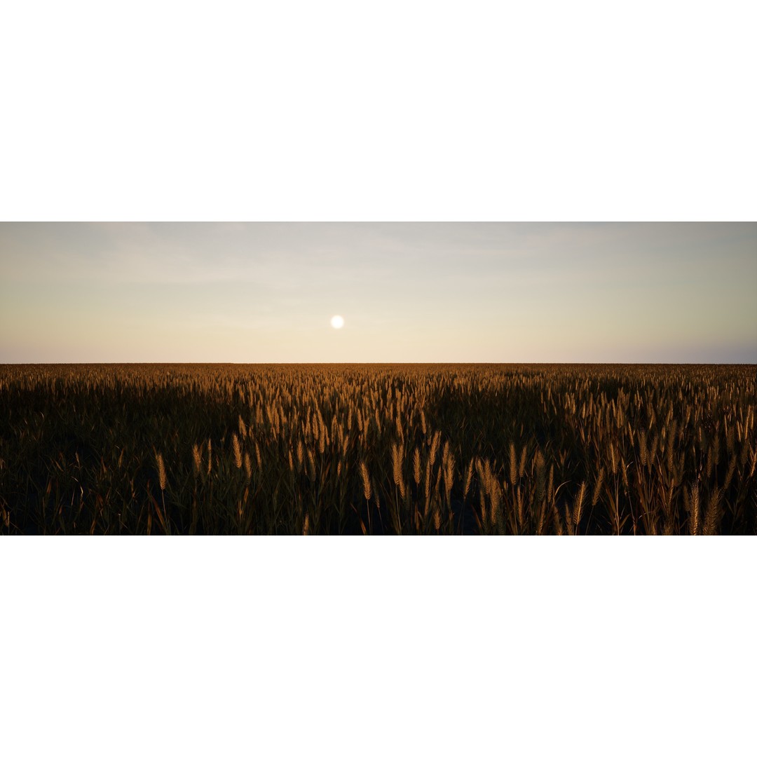 Realistic Wheat 3D Model – Low Poly PBR Asset for Unreal Engine - View 5