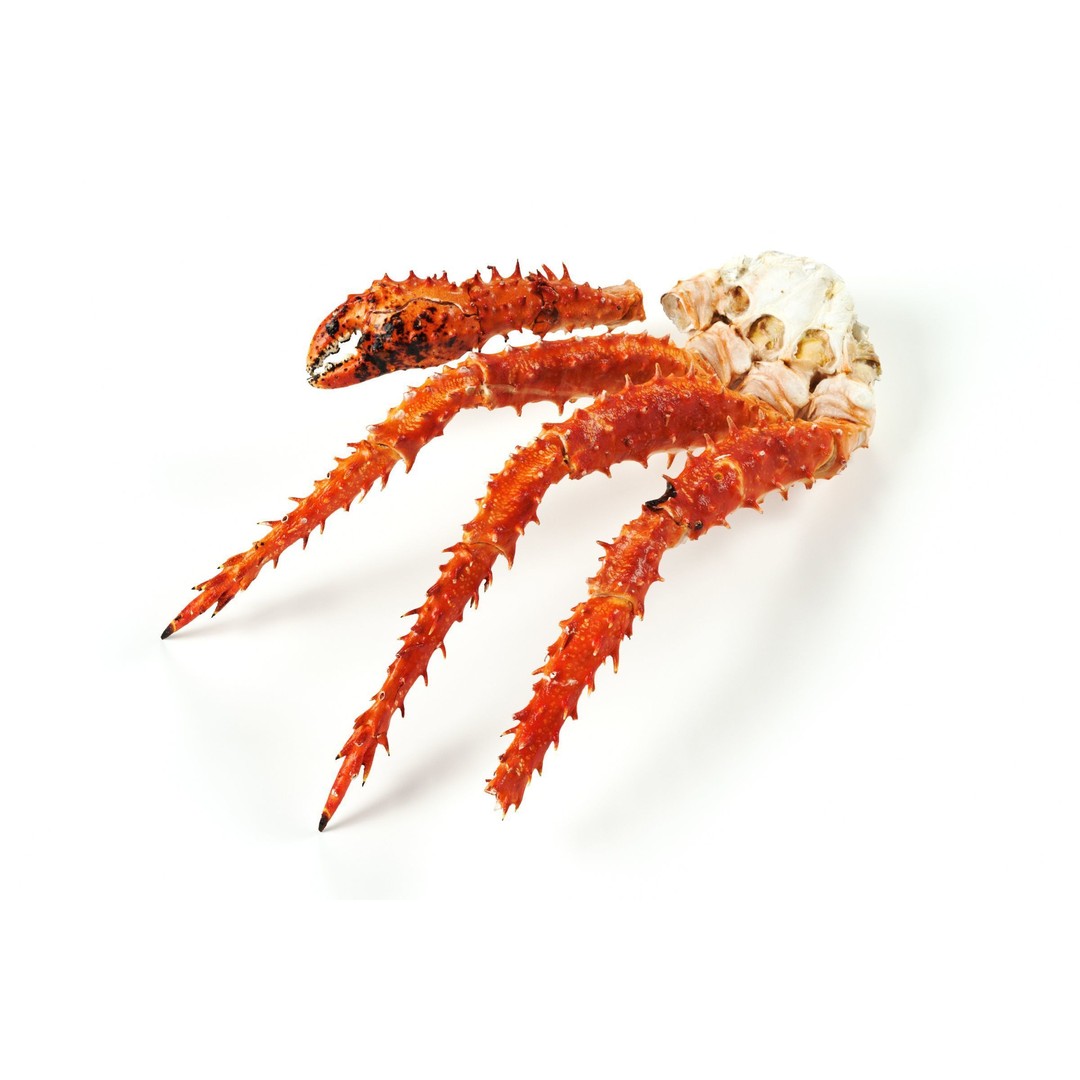 King Crab Legs 3D Model – PBR Seafood Asset, FBX, OBJ - View 5