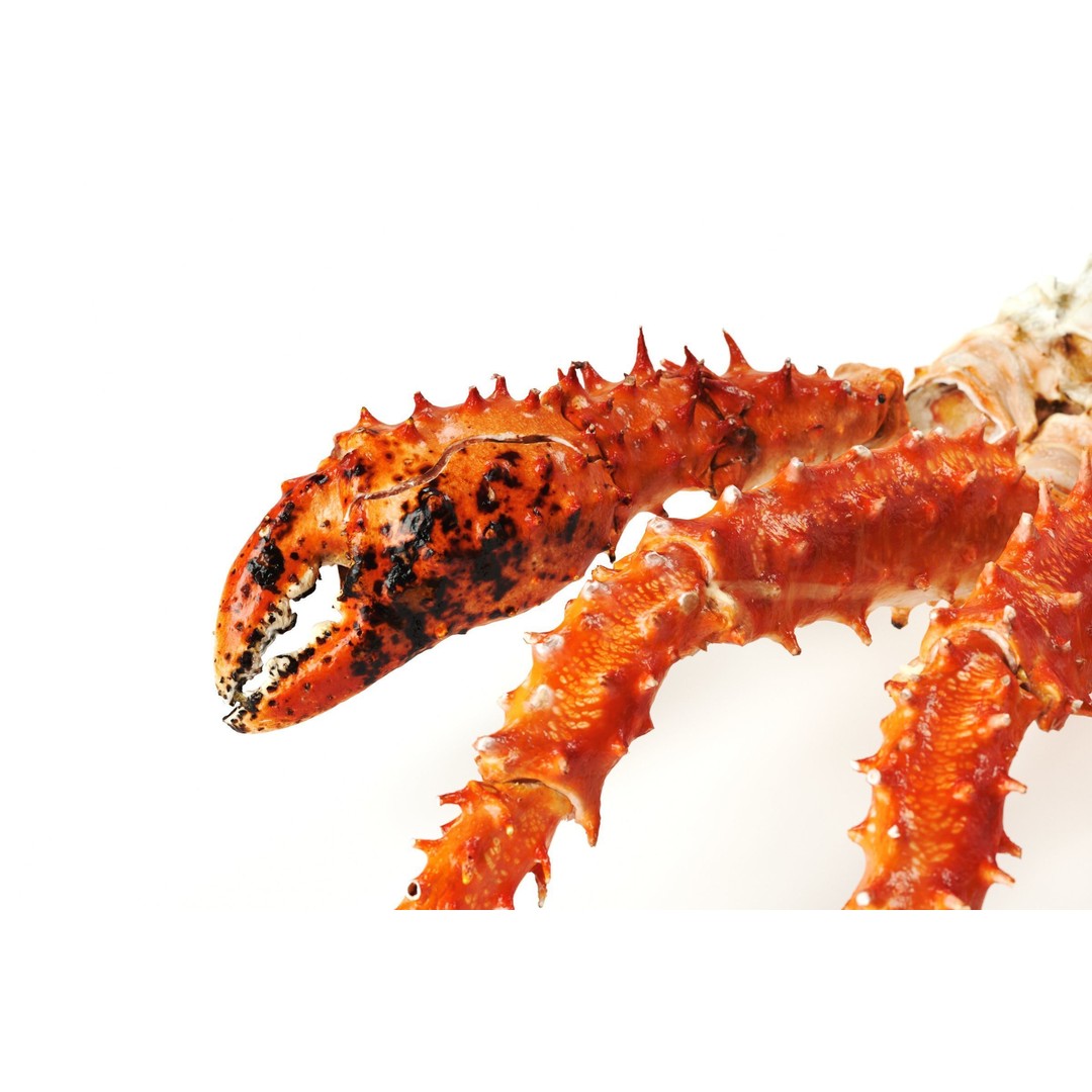 King Crab Legs 3D Model – PBR Seafood Asset, FBX, OBJ - View 6