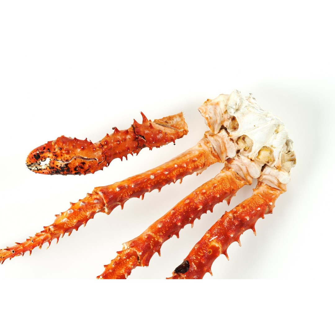 King Crab Legs 3D Model – PBR Seafood Asset, FBX, OBJ - View 7