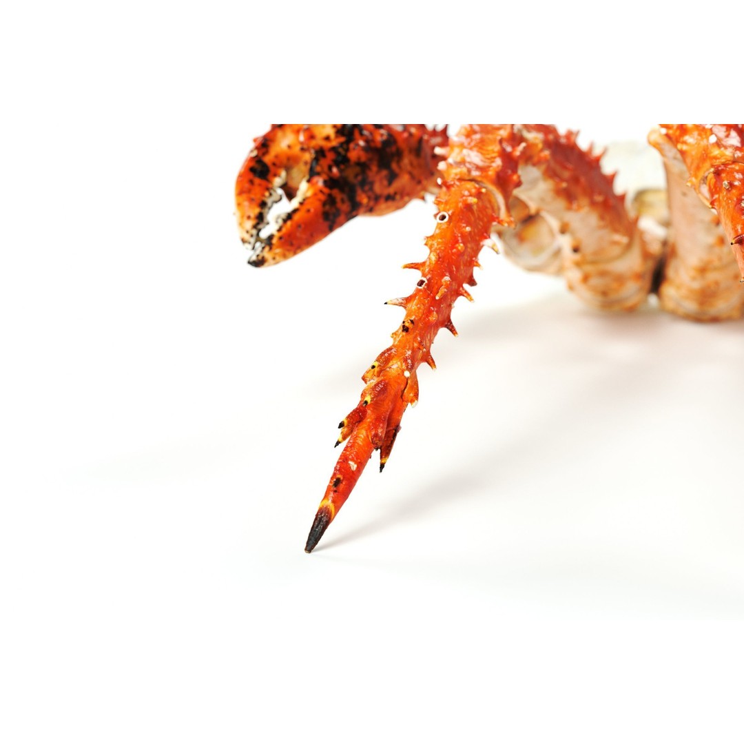 King Crab Legs 3D Model – PBR Seafood Asset, FBX, OBJ - View 9