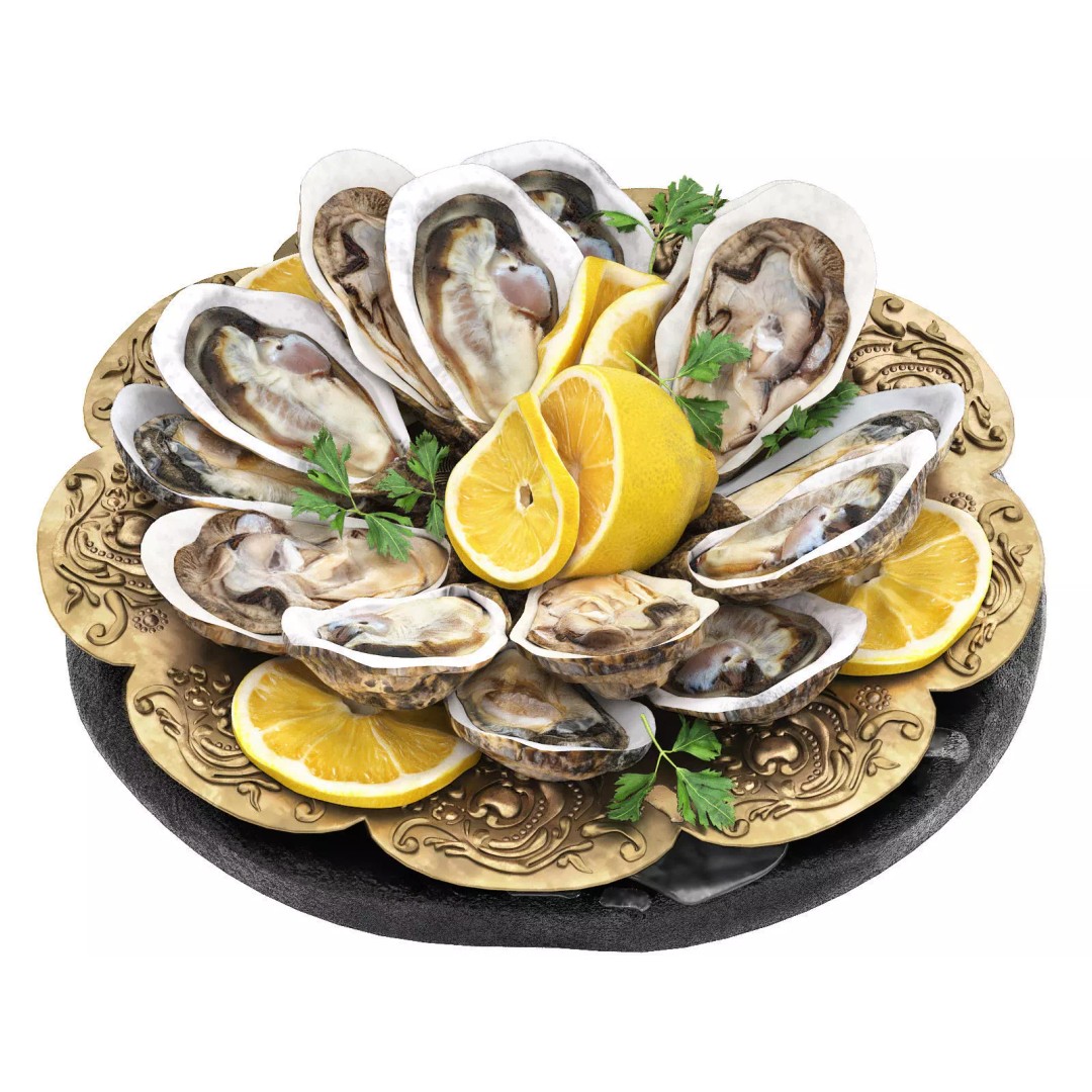 Seafood Oysters 3D Model – High Poly PBR Asset for Culinary Visuals - View 2