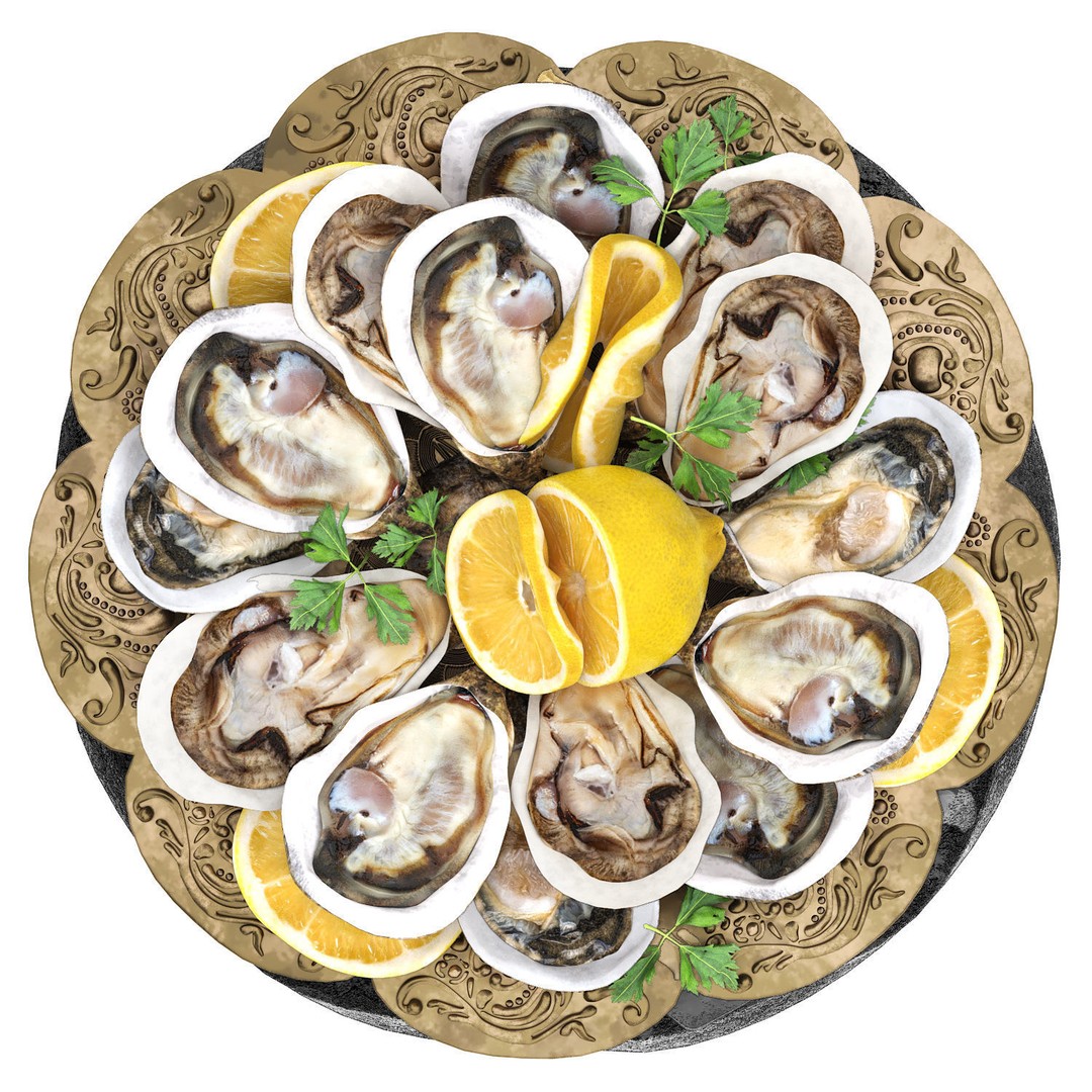 Seafood Oysters 3D Model – High Poly PBR Asset for Culinary Visuals - View 4
