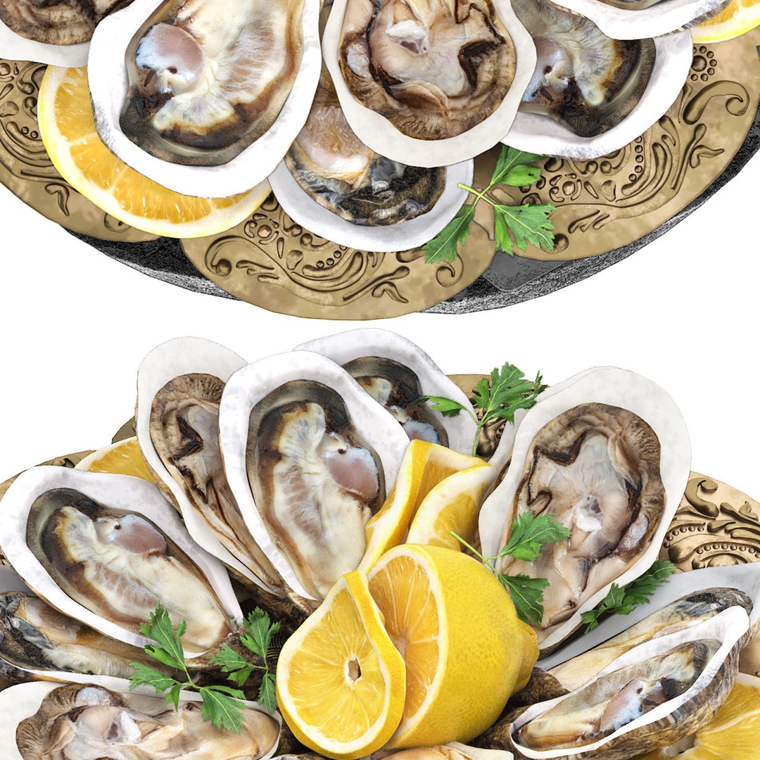 Seafood Oysters 3D Model – High Poly PBR Asset for Culinary Visuals - View 5