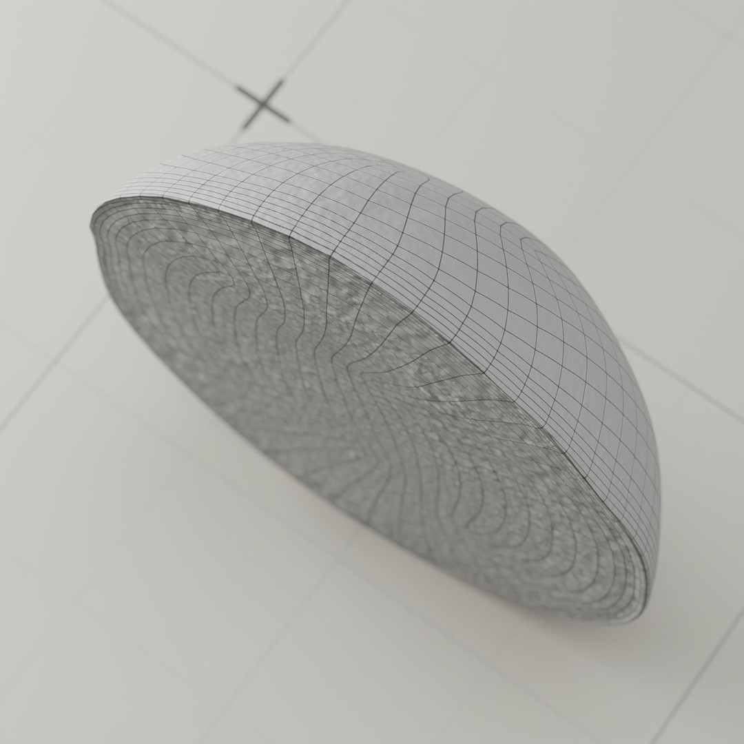 Photorealistic Mango 3D Model – High Poly, PBR Textures, Blender - View 21