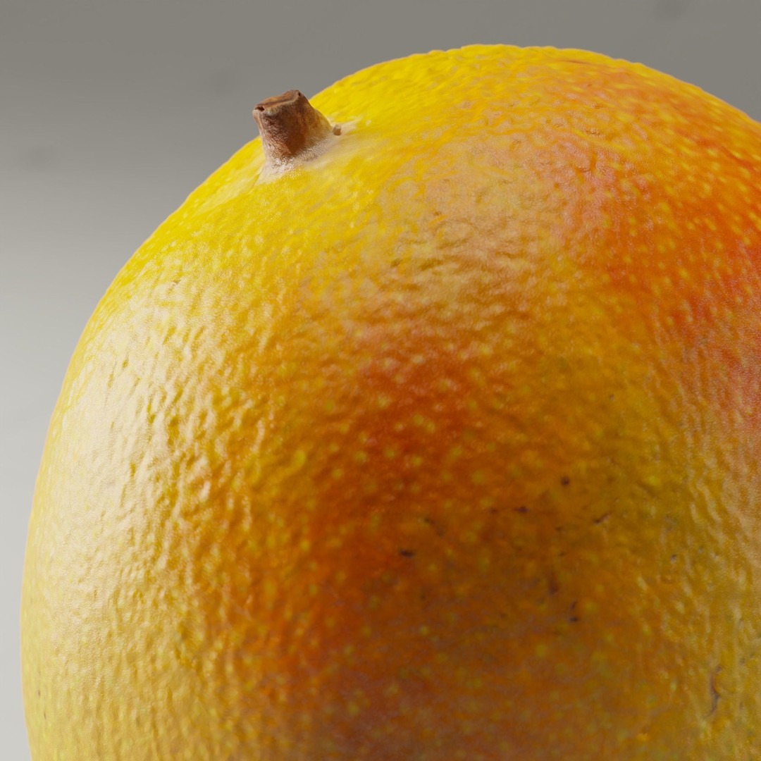 Photorealistic Mango 3D Model – High Poly, PBR Textures, Blender - View 9