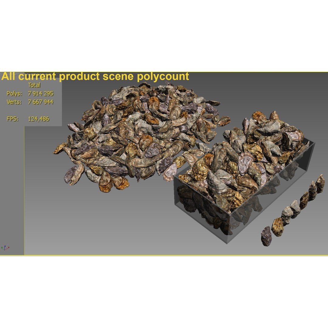 Oyster 3D Model – Mediterranean & Atlantic Styles, Game-Ready Formats