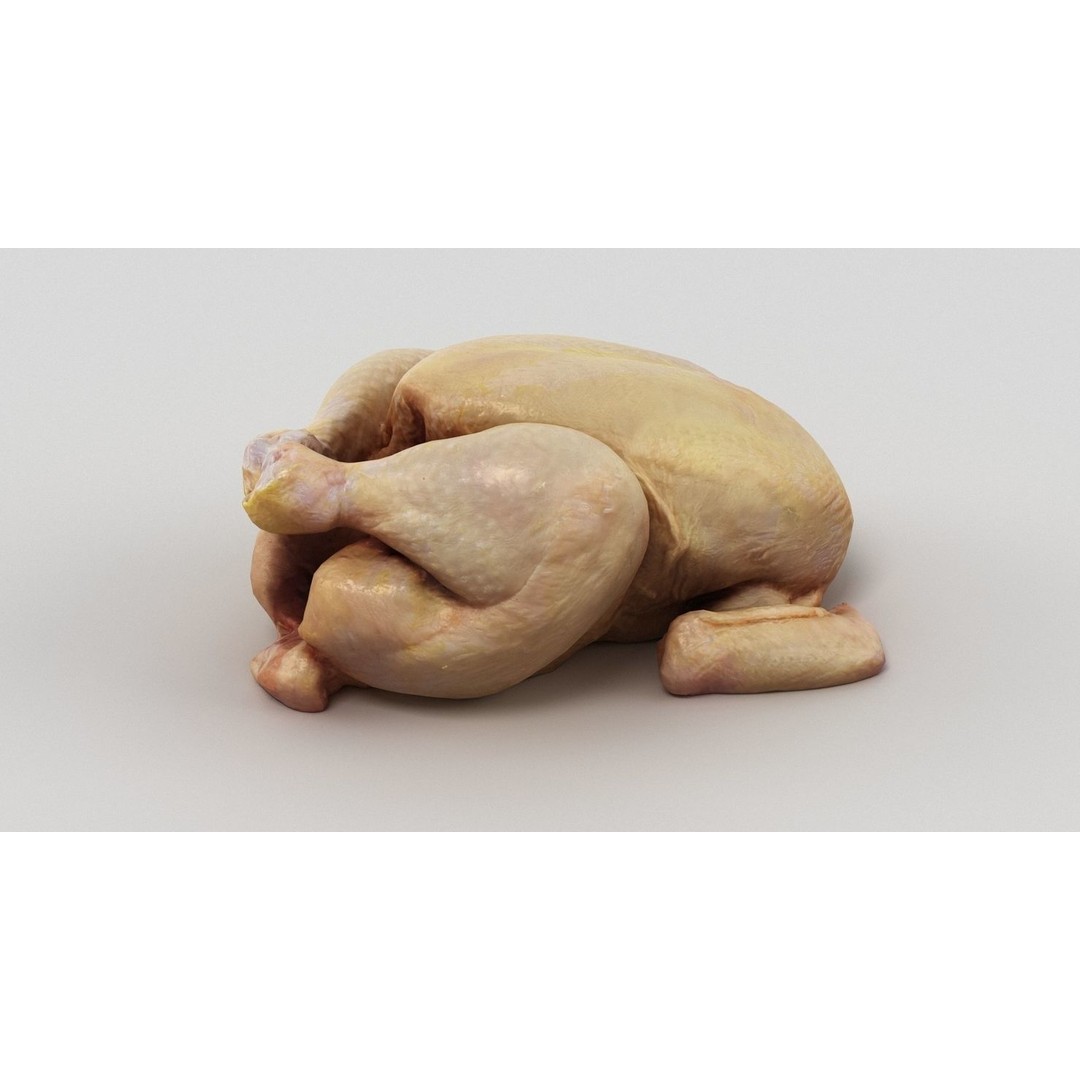Raw Chicken 3D Model – High-Res Game Asset, FBX, OBJ - View 10