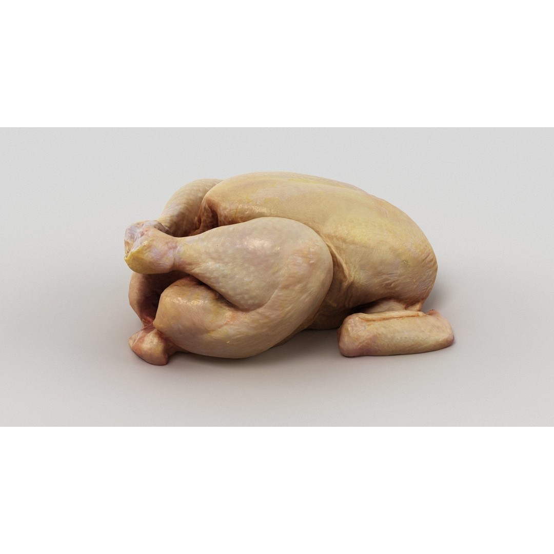 Raw Chicken 3D Model – High-Res Game Asset, FBX, OBJ - View 11