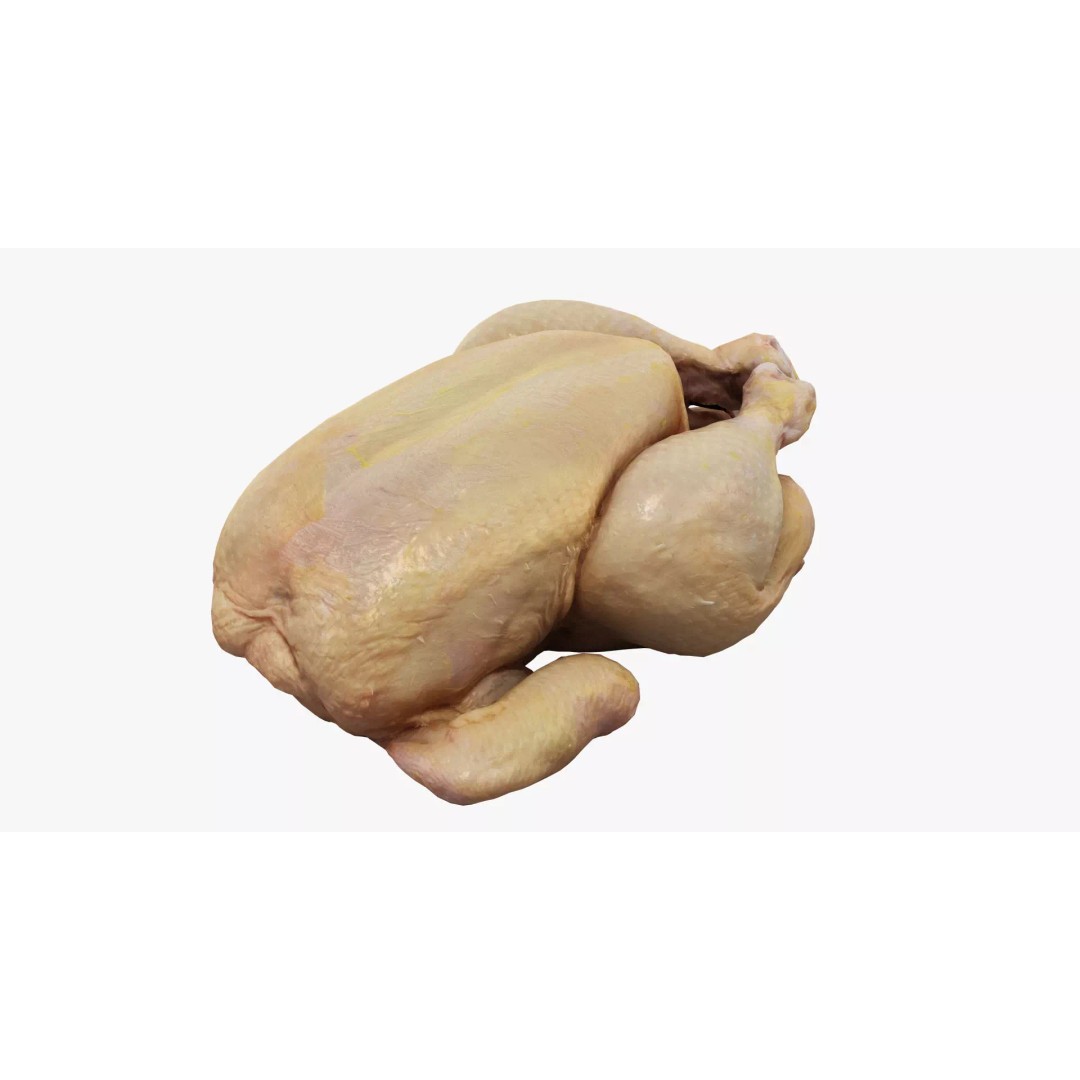 Raw Chicken 3D Model – High-Res Game Asset, FBX, OBJ - View 2