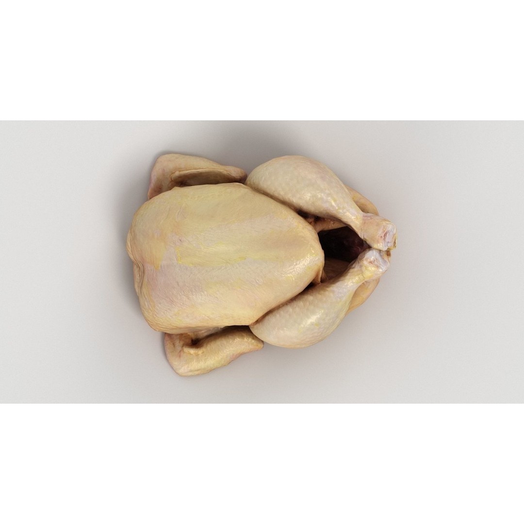 Raw Chicken 3D Model – High-Res Game Asset, FBX, OBJ - View 3